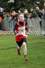 Boys under-13s Northern Cross Country Relays, Graves Park, Sheffield. Photo: David T. Hewitson/Sports for All Pics